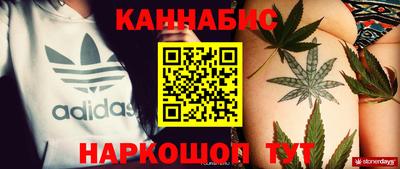 гашик Кандалакша