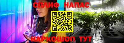 гашик Кандалакша