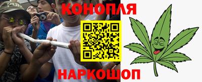 гашик Кандалакша