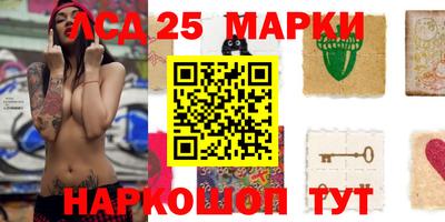 гашик Кандалакша