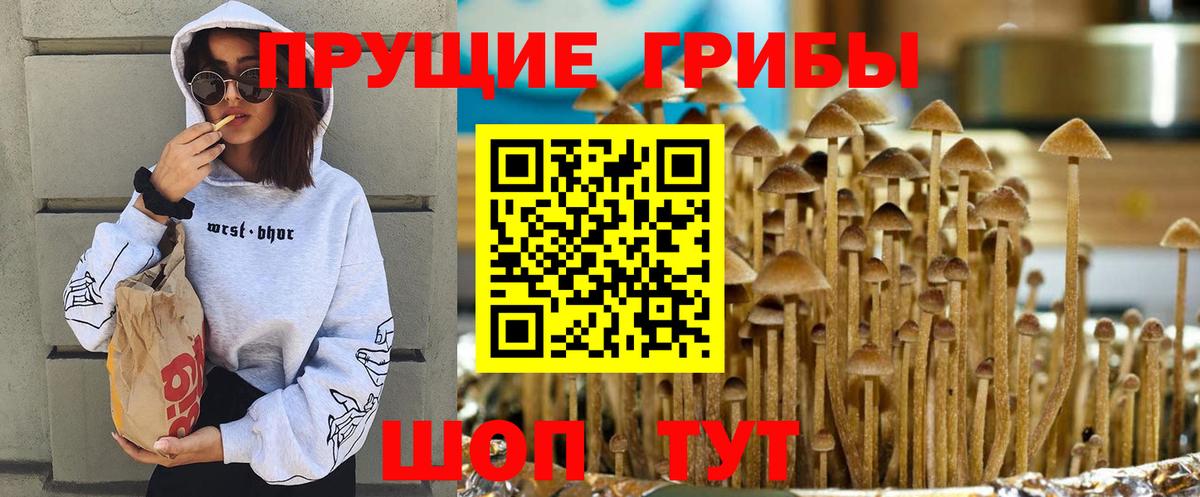 Псилоцибиновые грибы GOLDEN TEACHER Электросталь